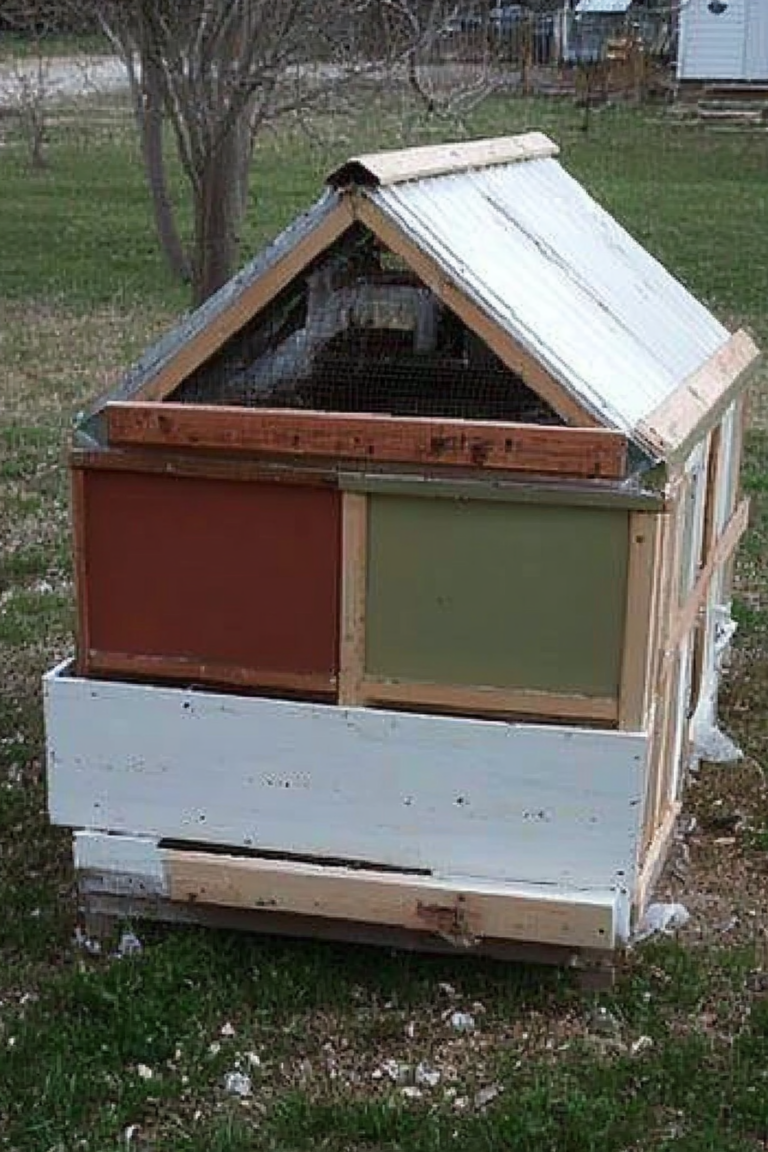 chicken coop